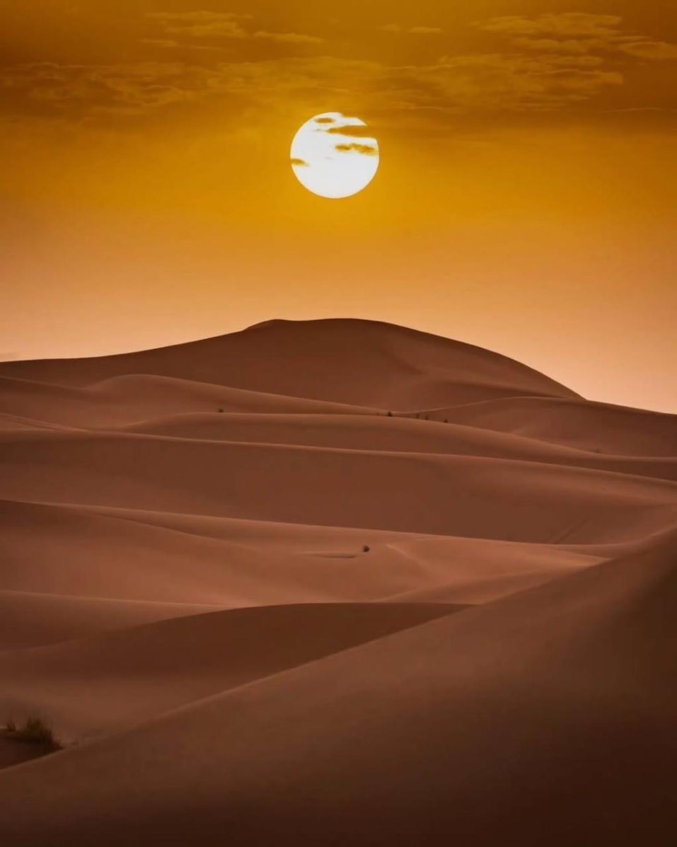Sahara